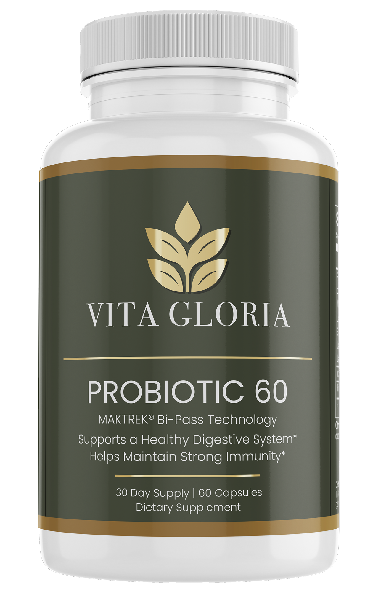 Probiotic 60